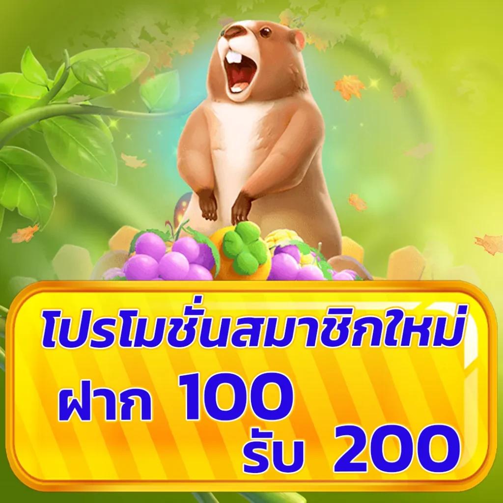 boom88 เว็บสล็อตและเกมคาสิโนออนไลน์อันดับ 1 มาตรฐานสูง